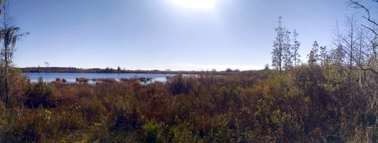 View From Boardwalk