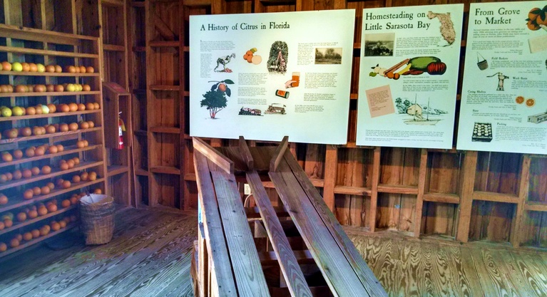 Orange Sorter at Citrus Packing House at Spanish Point