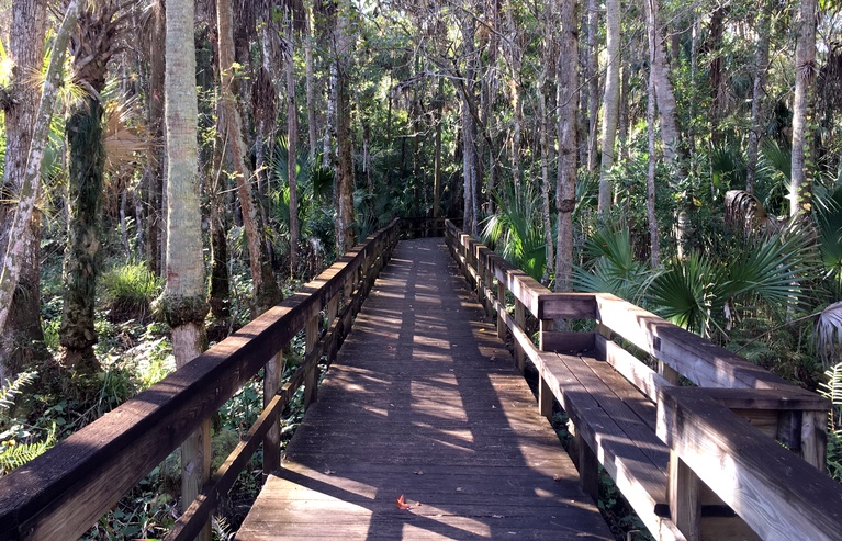 Cypress Trail Boardwalk