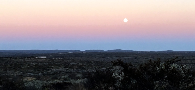 Full Moon Rising Behind Us