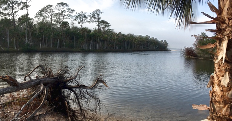 Park Shoreline