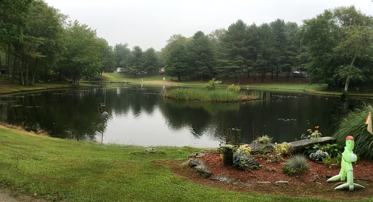 Landscaped Water Views