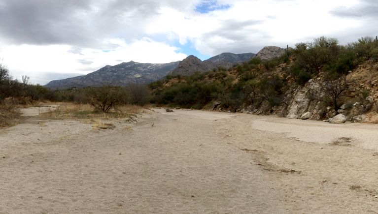 Very Dry Sutherland Wash