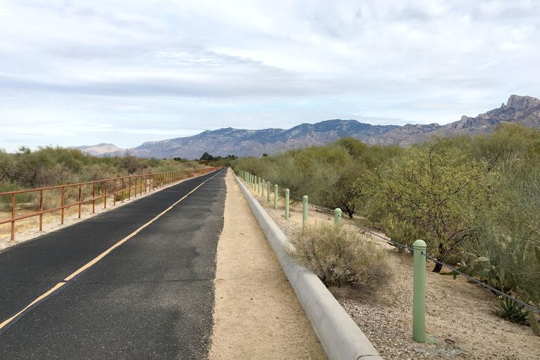 Santa Catalina Mountains From Cañada del Oro River Park