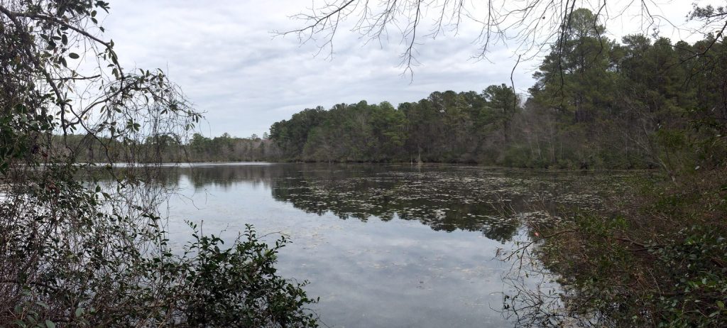 Lake View at Sesquicentenial State Park