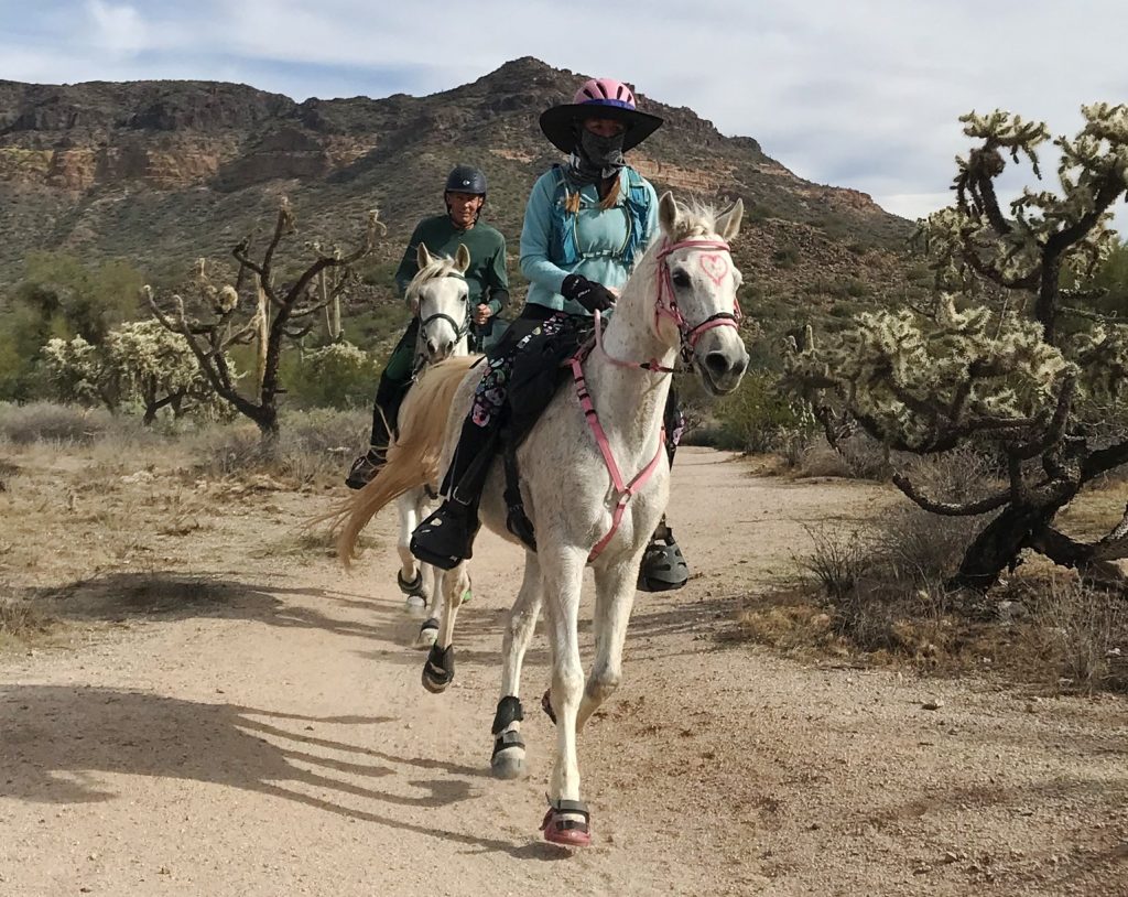 Riders in the Tonto Twist 50 Endurance Race
